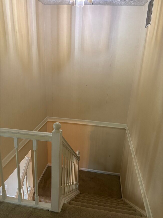 704 White Tail Way in Morgantown, WV - Foto de edificio - Building Photo