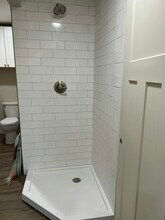 119 E Elm St in Albion, MI - Building Photo - Building Photo