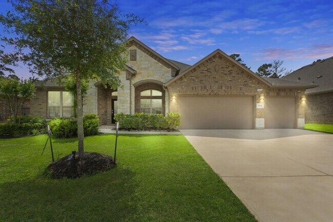 30931 Roanoak Woods Dr in Tomball, TX - Building Photo - Building Photo