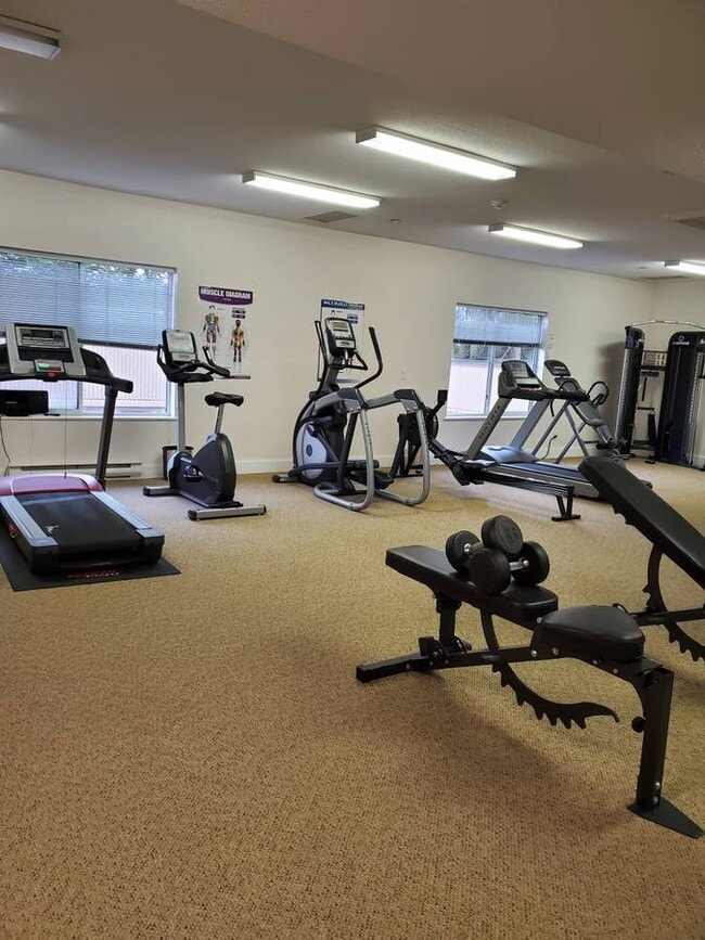 12464 191B St in Pitt Meadows, BC - Building Photo - Building Photo