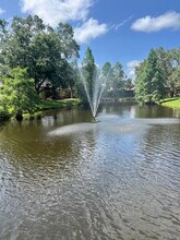 6350 92nd Pl N, Unit 2204 in Pinellas Park, FL - Foto de edificio - Building Photo