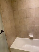 4439 Ashton Meadows Way in Wesley Chapel, FL - Building Photo - Building Photo