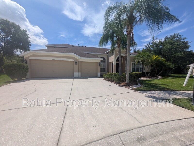 10411 Riverburn Dr in Tampa, FL - Building Photo
