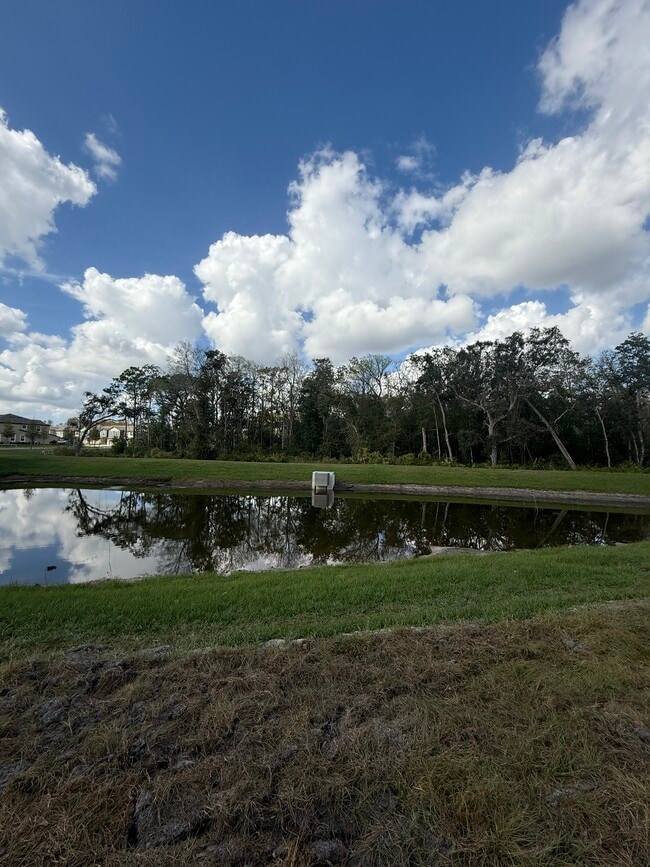 11061 Wishing Cloud Rd in Land O Lakes, FL - Building Photo - Building Photo