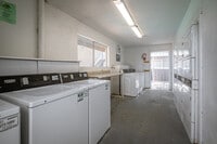 Pine Forest Park photo'