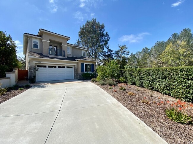 property at 11042 Corte Mar De Delfinas