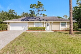 5146 Londonderry Ln in Wesley Chapel, FL - Building Photo