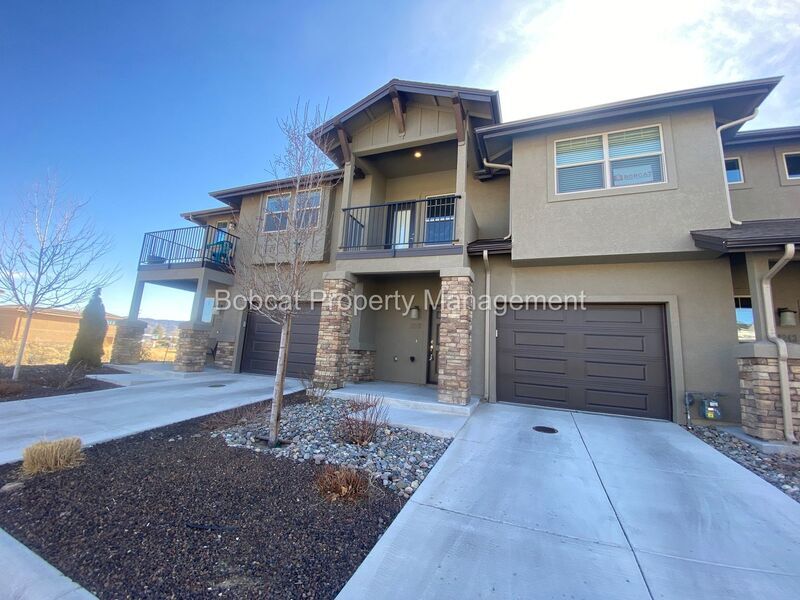 1249 Correlli Ct in Carson City, NV - Building Photo