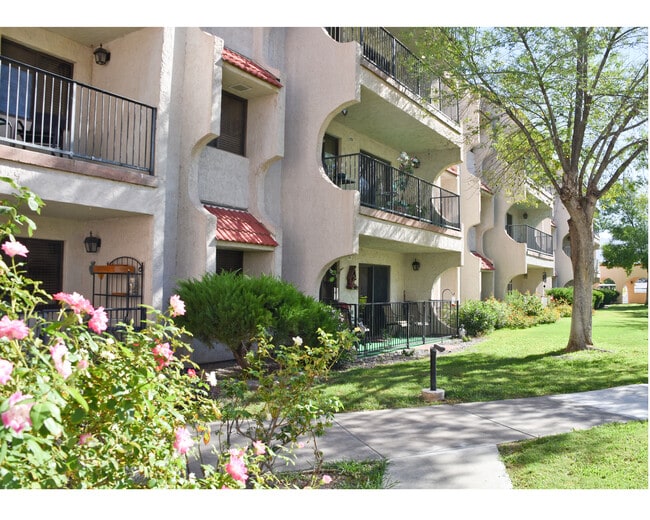 White Acres in El Paso, TX - Foto de edificio - Building Photo