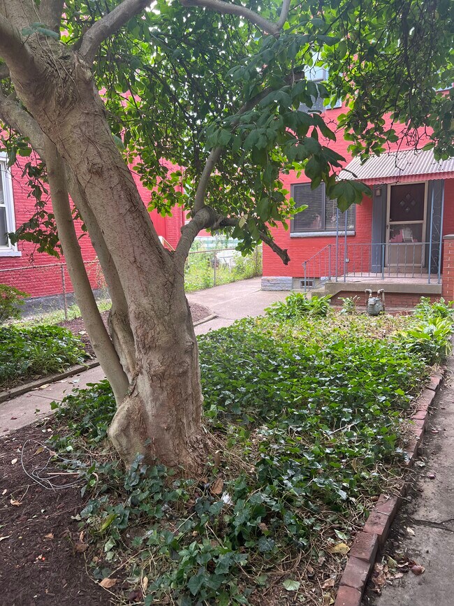 property at 2206 Sarah St