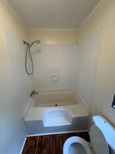 3 Baylie Grace Ln in Candler, NC - Building Photo - Building Photo