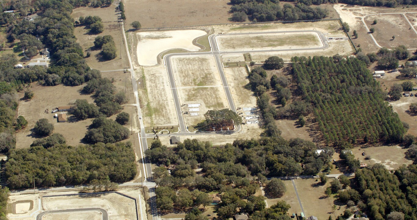 Lake Lincoln by Landsea Homes in Eustis, FL - Building Photo