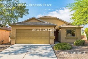 2775 W Sonoran Blossom Pl