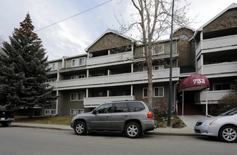 732 57th Ave SW in Calgary, AB - Building Photo - Building Photo