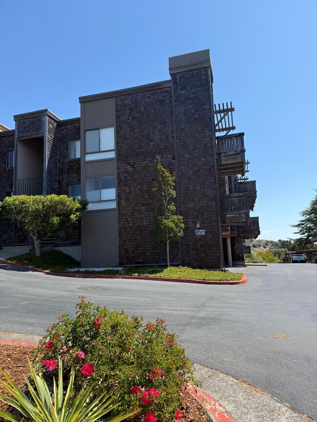 503 Seaver Dr in Mill Valley, CA - Building Photo - Building Photo