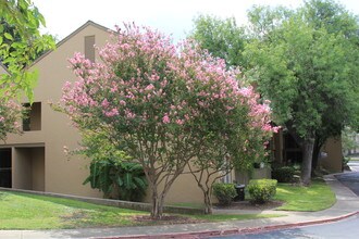 Woods of Brookhollow in San Antonio, TX - Building Photo - Building Photo