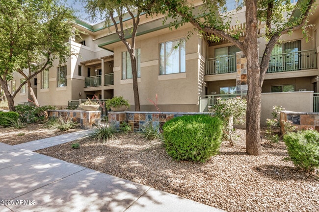 815 E Rose Ln in Phoenix, AZ - Building Photo - Building Photo