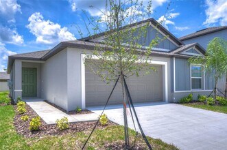 8879 Little Bluestem Dr in Land O Lakes, FL - Building Photo - Building Photo