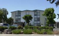 Belle Ami Apartments in Fremont, CA - Building Photo - Building Photo