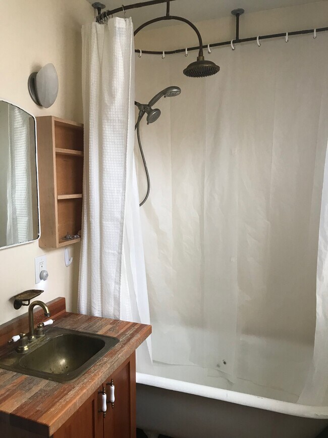 904 S Race St in Urbana, IL - Building Photo - Building Photo