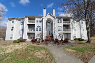 214 Quietwood Dr in Winston-Salem, NC - Building Photo