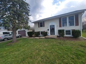 22005 Balmoral Dr in Richton Park, IL - Building Photo