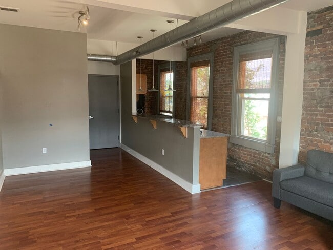 property at 1223 Bingham St