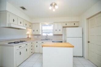 3903 Kiamesha Dr in Missouri City, TX - Building Photo - Building Photo