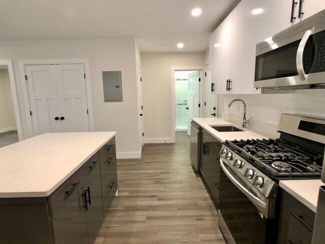 50 Stedman St, Unit 101 in Boston, MA - Building Photo - Building Photo