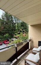 4720 Chevy Chase Dr in Chevy Chase, MD - Building Photo - Building Photo
