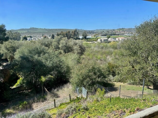 31324 Club Vista Ln in Bonsall, CA - Building Photo - Building Photo