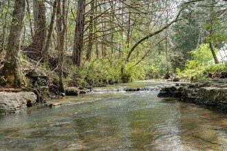 7458 White Pine Dr in Ooltewah, TN - Building Photo - Building Photo