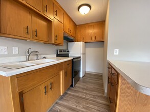 The Midtown Apartments in Rochester, MN - Building Photo - Building Photo