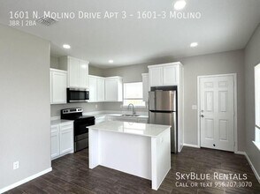 1601 Molino Dr in Edinburg, TX - Building Photo - Building Photo