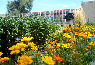 Country Club Gardens in Lakewood, CO - Building Photo - Building Photo