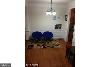 22269 Mayburgh Terrace in Ashburn, VA - Building Photo - Building Photo