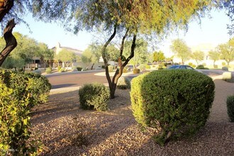 4769 W Detroit Ct in Chandler, AZ - Building Photo - Building Photo