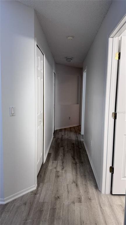 1804 Palmetto Pine Ln in Orlando, FL - Building Photo - Building Photo