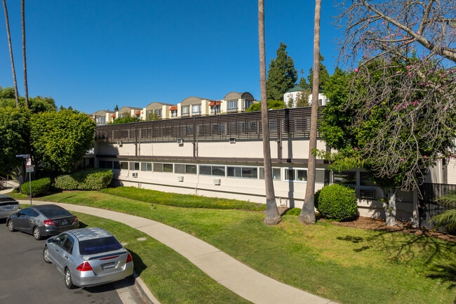 6717 Wilkinson in North Hollywood, CA - Building Photo - Building Photo