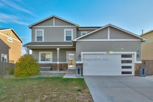 9790 Desert Lily Cir in Colorado Springs, CO - Building Photo