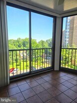 5902 Mt Eagle Dr in Alexandria, VA - Building Photo