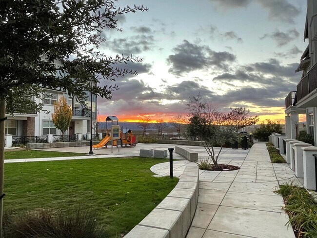 4063 Dobbins Loop in Dublin, CA - Building Photo - Building Photo