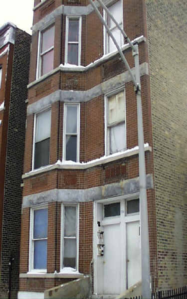 Throop 734 N in Chicago, IL - Building Photo - Building Photo