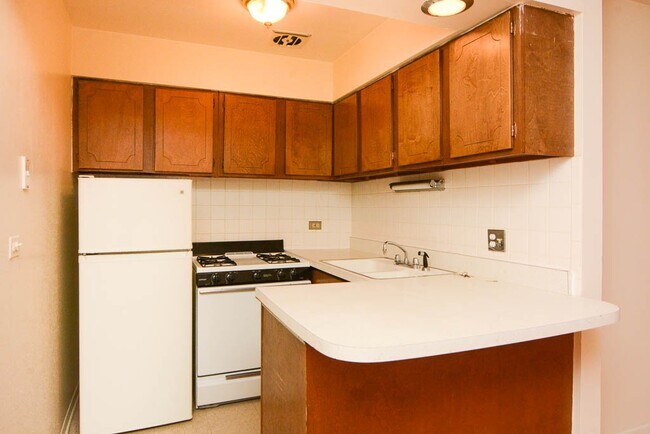 533 W Aldine Ave in Chicago, IL - Building Photo - Building Photo