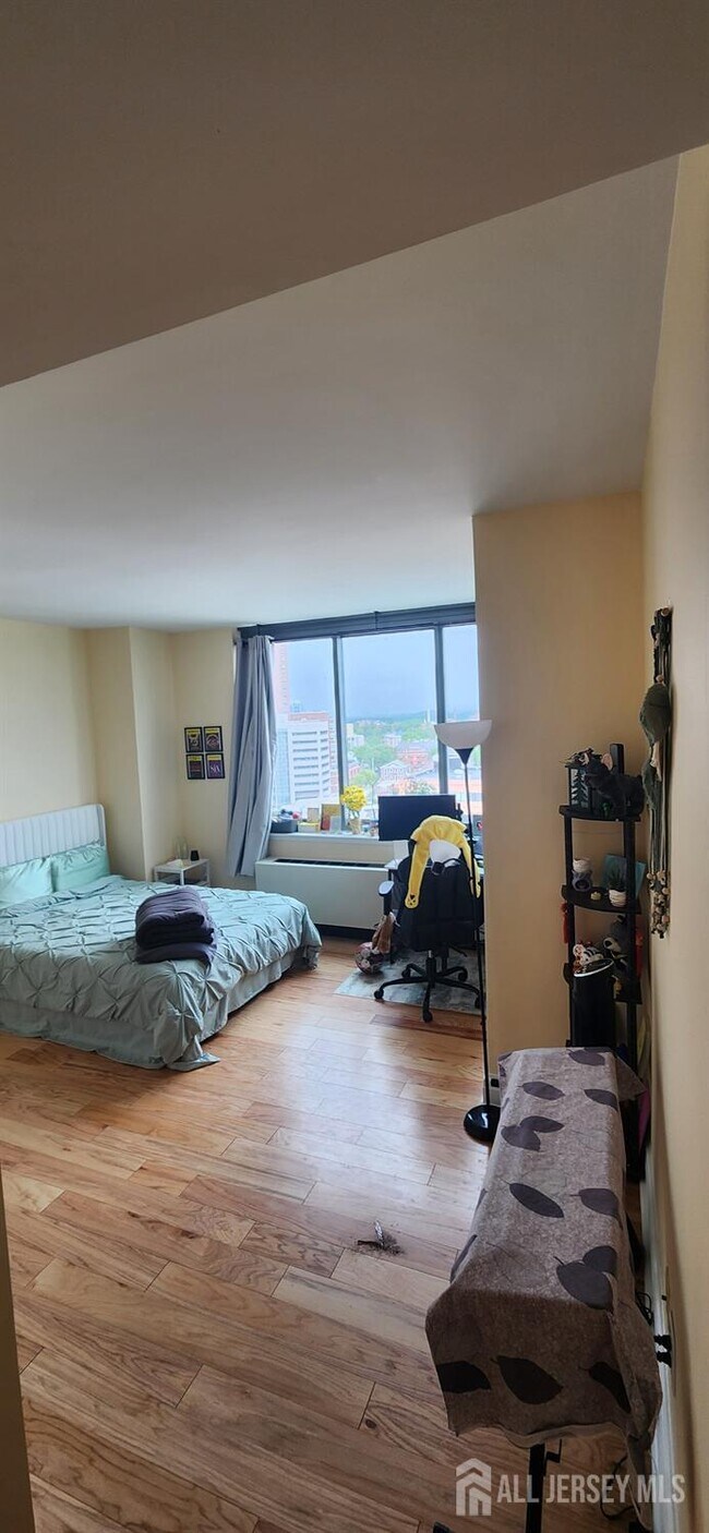 1 Spring St in New Brunswick, NJ - Building Photo - Building Photo