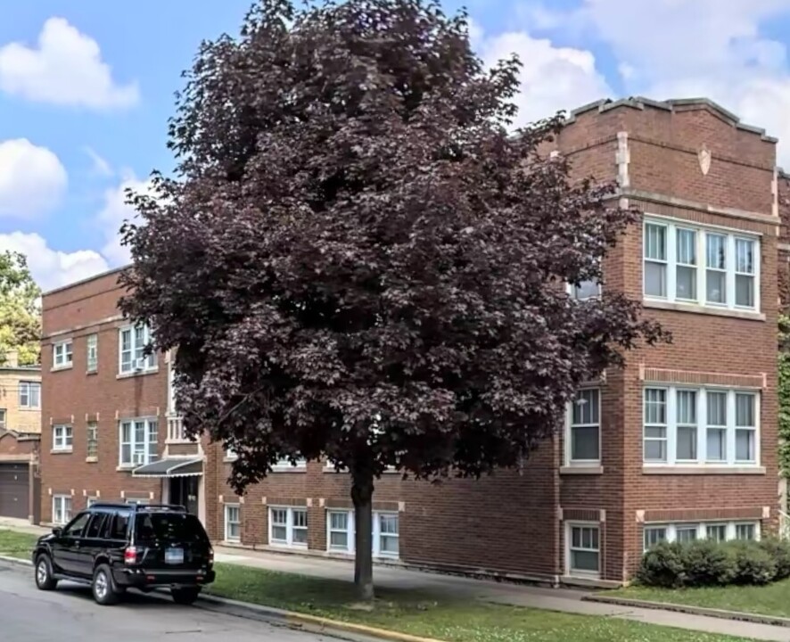 1942 Elmwood Ave in Berwyn, IL - Building Photo