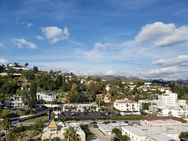 The Madison in Los Angeles, CA - Building Photo - Building Photo