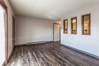 348 Terri Dr in Loveland, CO - Foto de edificio - Building Photo