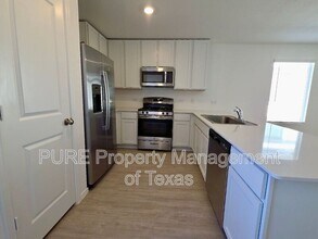 256 Northern Pintail Dr in Kyle, TX - Building Photo - Building Photo