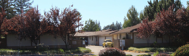 3350 Sunset Blvd in Rocklin, CA - Building Photo - Building Photo